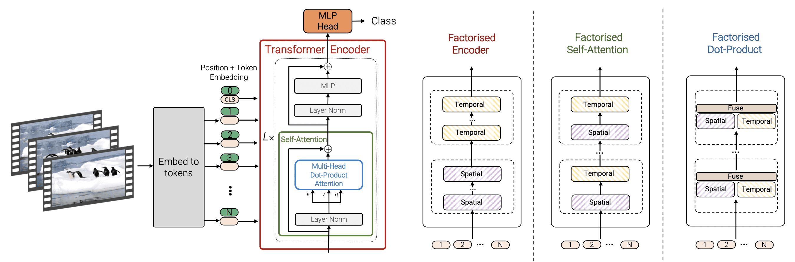 Encoder 内部结构图